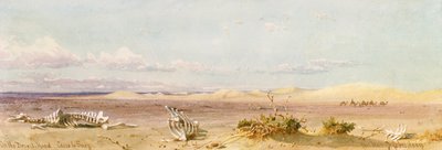砂漠の砂丘、カイロ、スエズ、1859 作： Carl Haag