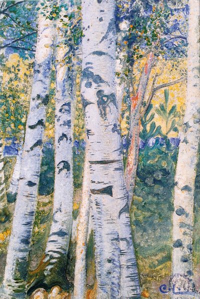 白樺の木、1910 作： Carl Larsson