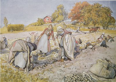 じゃがいもを掘る 作： Carl Larsson