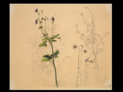  作： Carl Philipp Fohr