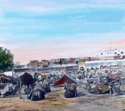 モロッコ北部、タンジェのスーク、画像は1910年頃。カール・サイモン・アーカイブ 作： Carl Simon