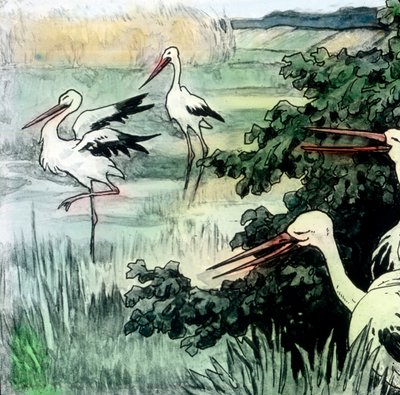 Wilhelm Hauff - Fairy Tales - コウノトリのカリフ。画像は1910年頃のもの。カール・サイモン・アーカイブ 作： Carl Simon
