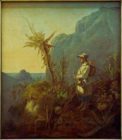 熱帯地方の自然主義者 作： Carl Spitzweg