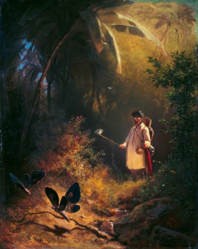バタフライキャッチャー 作： Carl Spitzweg