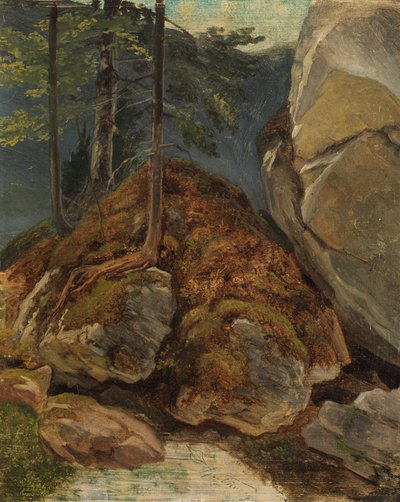 苔で覆われた岩を使った石油研究 作： Carl Spitzweg