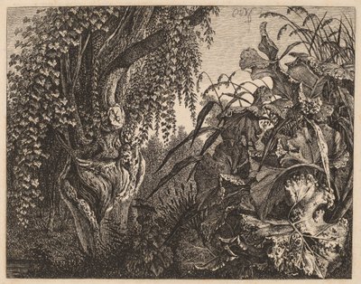 茂み; 左は節くれだった柳の木、右は植生の茂み 作： Carl Wilhelm Kolbe