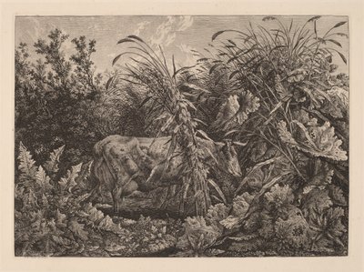 沼地の牛 作： Carl Wilhelm Kolbe, the elder