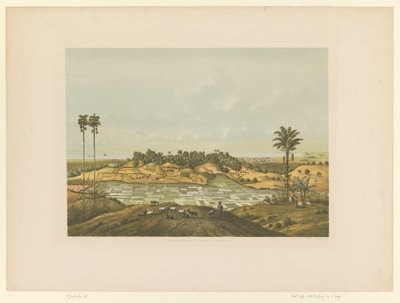 サマラン近くの風景の眺め サマランの北海岸 (オブジェクトのタイトル) 作： Carl Wilhelm Mieling (possibly)