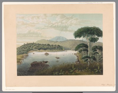ジャワ島のパテンガン湖の眺め 作： Carl Wilhelm Mieling (possibly)