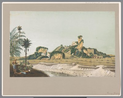ジャワ島の石灰岩 作： Carl Wilhelm Mieling (possibly)
