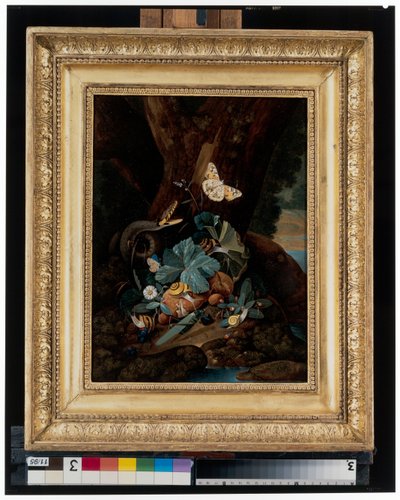 カタツムリ、ヘビ、トカゲ、蝶のいる森の静物画 作： Carl Wilhelm de Hamilton
