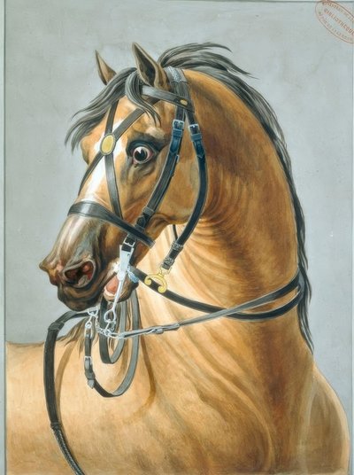 砲兵用の手綱 作： Carle Vernet