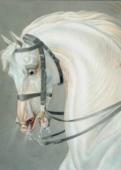 カラビニエリ馬のための添え金 作： Carle Vernet