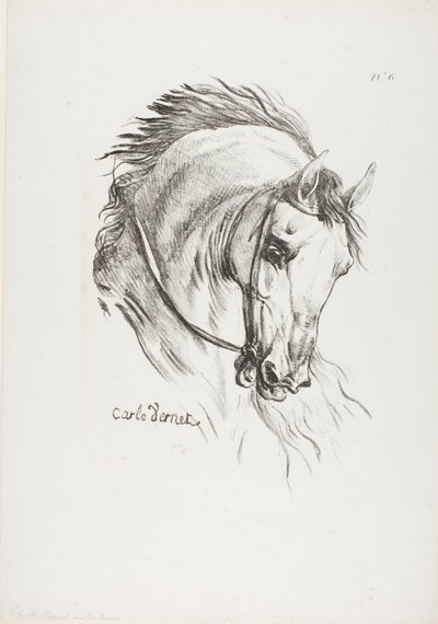 馬の頭部のディテール、3倍の大きさに拡大、ロイヤル・ガード、フサード、No.6 作： Carle Vernet