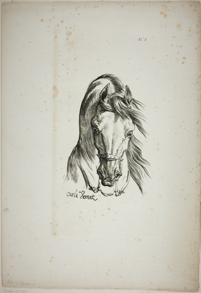 ノルマン王室の衛兵、No.1、馬の頭部のディテール（3倍に拡大 作： Carle Vernet