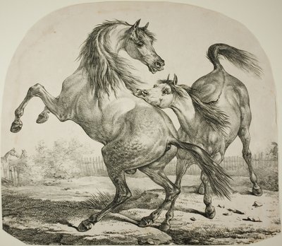 野生の馬の戦い 作： Carle Vernet