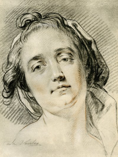 ヘッドスタディ 作： Carle van Loo