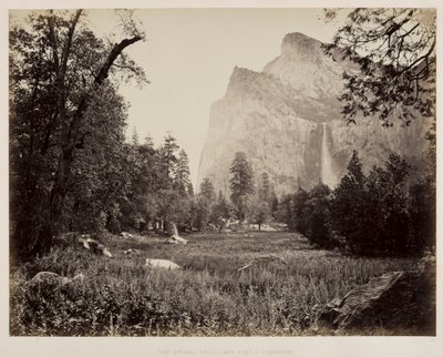 ブライダルベール、ヨセミテ、c。 1865-1866。 作： Carleton E. Watkins