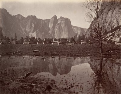 カテドラル ロックス、ヨセミテ、カリフォルニア州。 1872年、約印刷。 1876年。 作： Carleton E. Watkins.