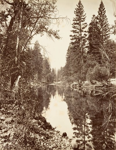 マーセド川、ヨセミテ、カリフォルニア州。 1872年、約印刷。 1876年。 作： Carleton E. Watkins.