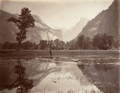 The Domes, Yosemite, ca. 1872, printed ca. 1876.    1201750   ja       japanese Successfully Translated  Original: Edelmoedigheid van Scipio Translat: Edelmoedigheid van Scipio 1370518 ja japanese Successfully Translated Original: Butterfly over Water Tran 作： Carleton E. Watkins.