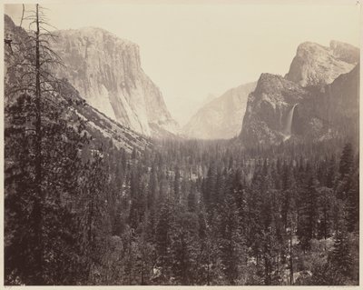 マリポサ・トレイルから見たヨセミテ・バレー 作： Carleton E. Watkins