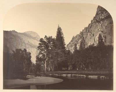 キャンプ グローブ、センチネルの近く、1861 年、ヨセミテ。 作： Carleton Emmons Watkins
