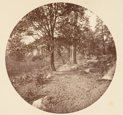 ヨセミテ渓谷では、カリフォルニア州。 1878年。 作： Carleton Emmons Watkins