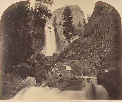 遠方の中心にあるブロデリック山、ピロヤック、落下するクリスタル、バーナル秋、1861年。 作： Carleton Emmons Watkins