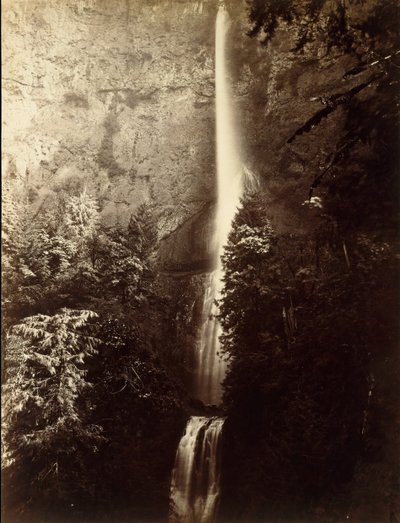 マルトノマ フォールズ カスケード、コロンビア川、1867 年。 作： Carleton Emmons Watkins