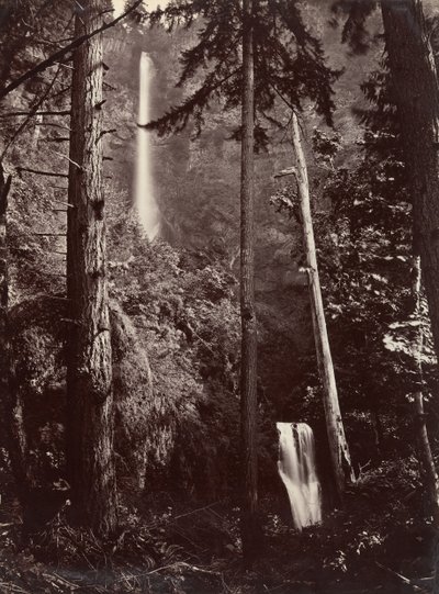 1867 年、オレゴン州マルトノマ滝、後に印刷。 作： Carleton Emmons Watkins