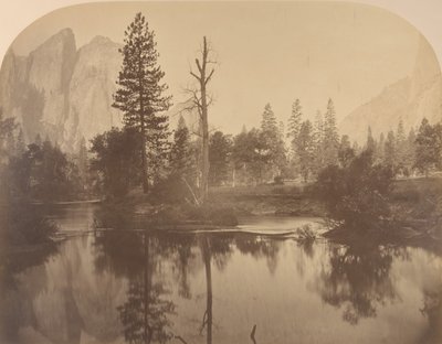 リバー ビュー ダウン バレー、左側のカテドラル ロック、1861 年。 作： Carleton Emmons Watkins
