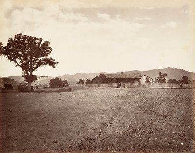 サンタ マルガリータ牧場、1876 年、印刷 1876年。 作： Carleton Emmons Watkins