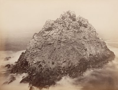 シュガーローフ諸島、ファラロン、1868-69。 作： Carleton Emmons Watkins