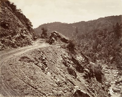 間欠泉へのサルファークリークとフルームロード、1868-70年、印刷された。 1876年。 作： Carleton Emmons Watkins