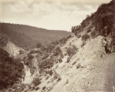 サルファークリークと間欠泉への道、1868-70年、印刷約。 1876年。 作： Carleton Emmons Watkins