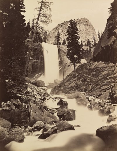 春の秋、ヨセミテ、1865 ～ 66 年、19 年頃に印刷 1875年。 作： Carleton Emmons Watkins