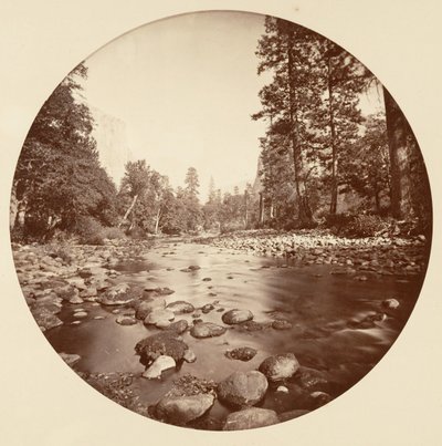[カリフォルニア州ヨセミテ国立公園]、カリフォルニア州。 1878年。 作： Carleton Emmons Watkins