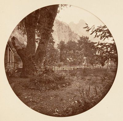 [カリフォルニア州ヨセミテ国立公園]、カリフォルニア州。 1878年。 作： Carleton Emmons Watkins
