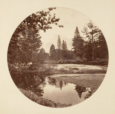[カリフォルニア州ヨセミテ国立公園]、カリフォルニア州。 1878年。 作： Carleton Emmons Watkins