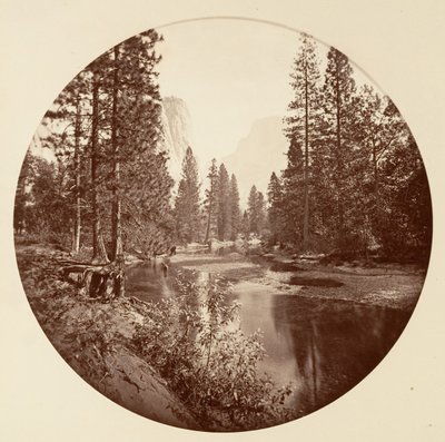 [カリフォルニア州ヨセミテ国立公園]、カリフォルニア州。 1878年。 作： Carleton Emmons Watkins