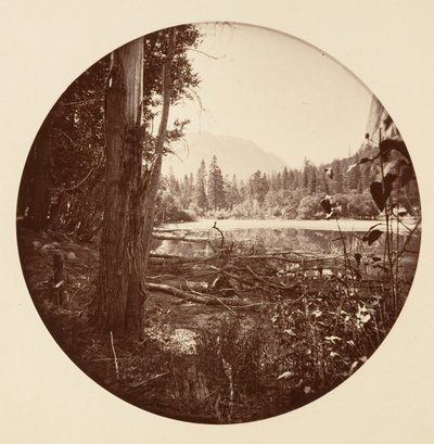 [カリフォルニア州ヨセミテ国立公園]、カリフォルニア州。 1878年。 作： Carleton Emmons Watkins