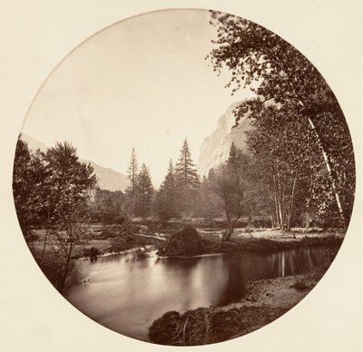 [カリフォルニア州ヨセミテ国立公園]、カリフォルニア州。 1878年。 作： Carleton Emmons Watkins
