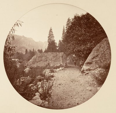 [カリフォルニア州ヨセミテ国立公園]、カリフォルニア州。 1878年。 作： Carleton Emmons Watkins