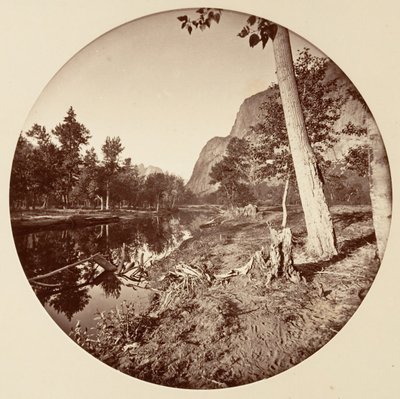 [カリフォルニア州ヨセミテ国立公園]、カリフォルニア州。 1878年。 作： Carleton Emmons Watkins