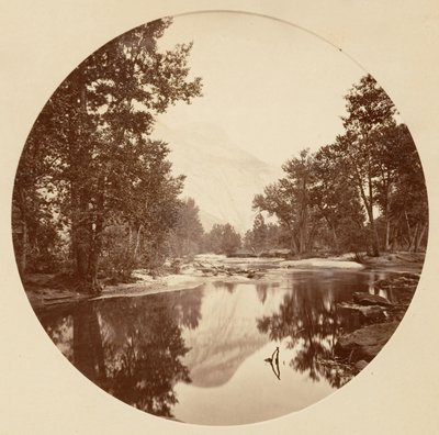 [カリフォルニア州ヨセミテ国立公園]、カリフォルニア州。 1878年。 作： Carleton Emmons Watkins