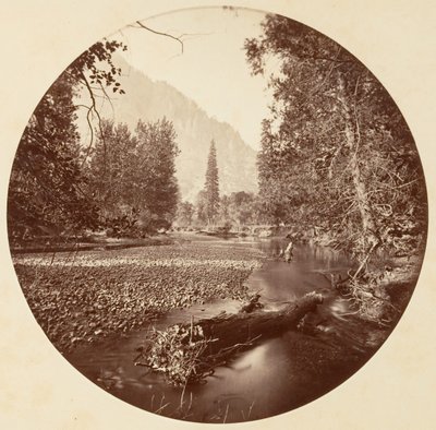 [カリフォルニア州ヨセミテ国立公園]、カリフォルニア州。 1878年。 作： Carleton Emmons Watkins