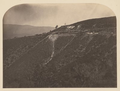 （松の木鉱山） 作： Carleton Watkins