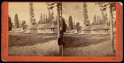 ビッグツリーステーション、マリポサグローブ 作： Carleton Watkins