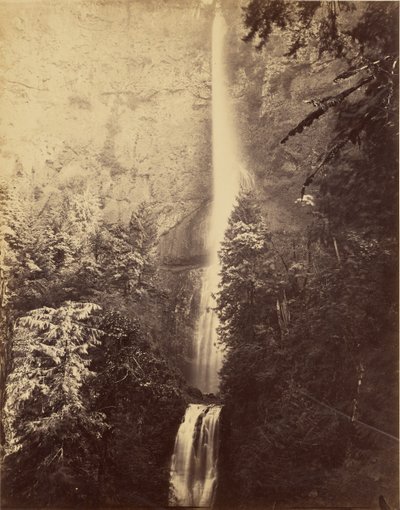 [カスケード、マルトノマ・フォールズ］ 作： Carleton Watkins